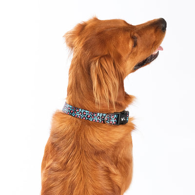 LV Original  Adjustable Mesh Harness™ – Willow's Pet Palace