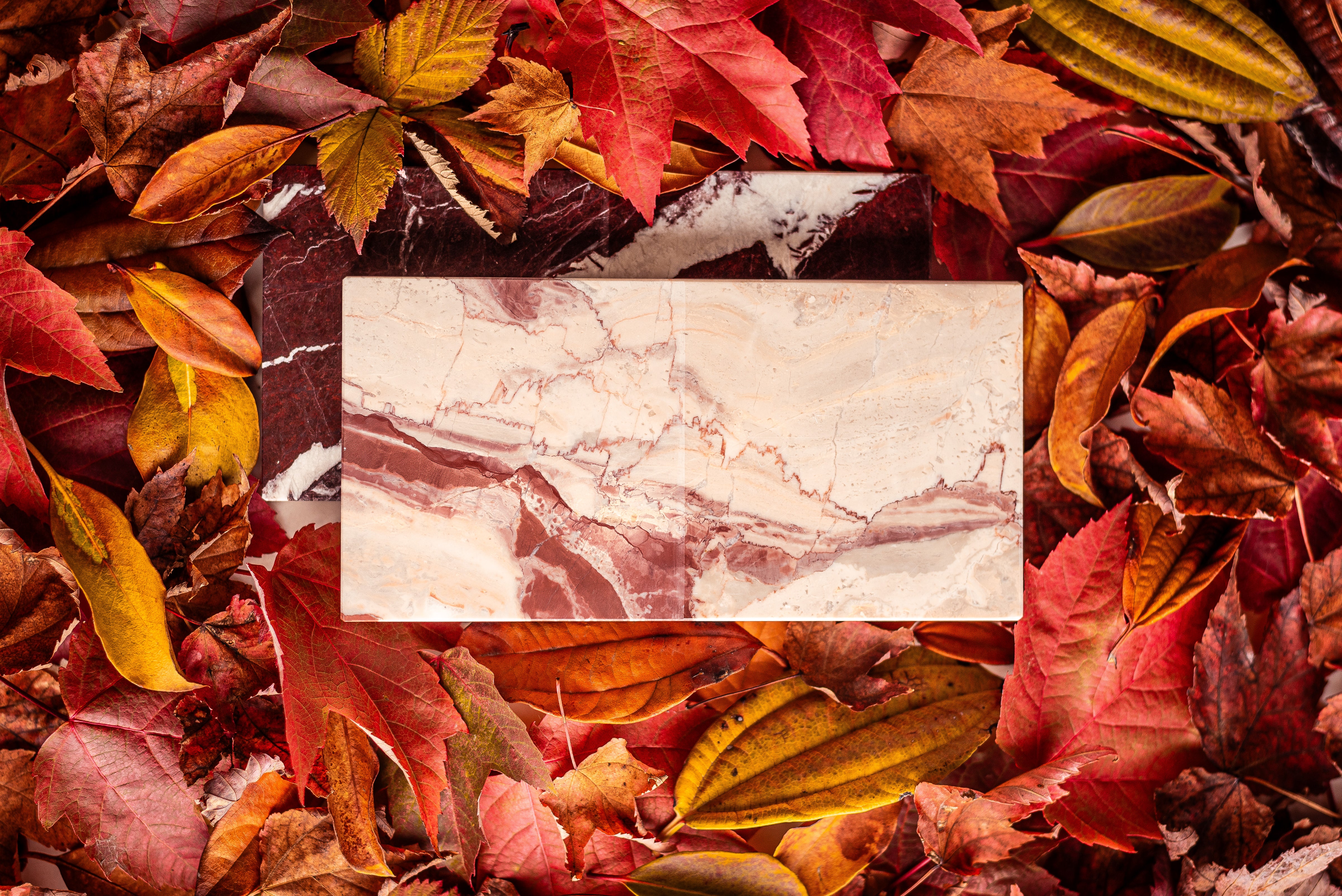 Sample over autumn leaves