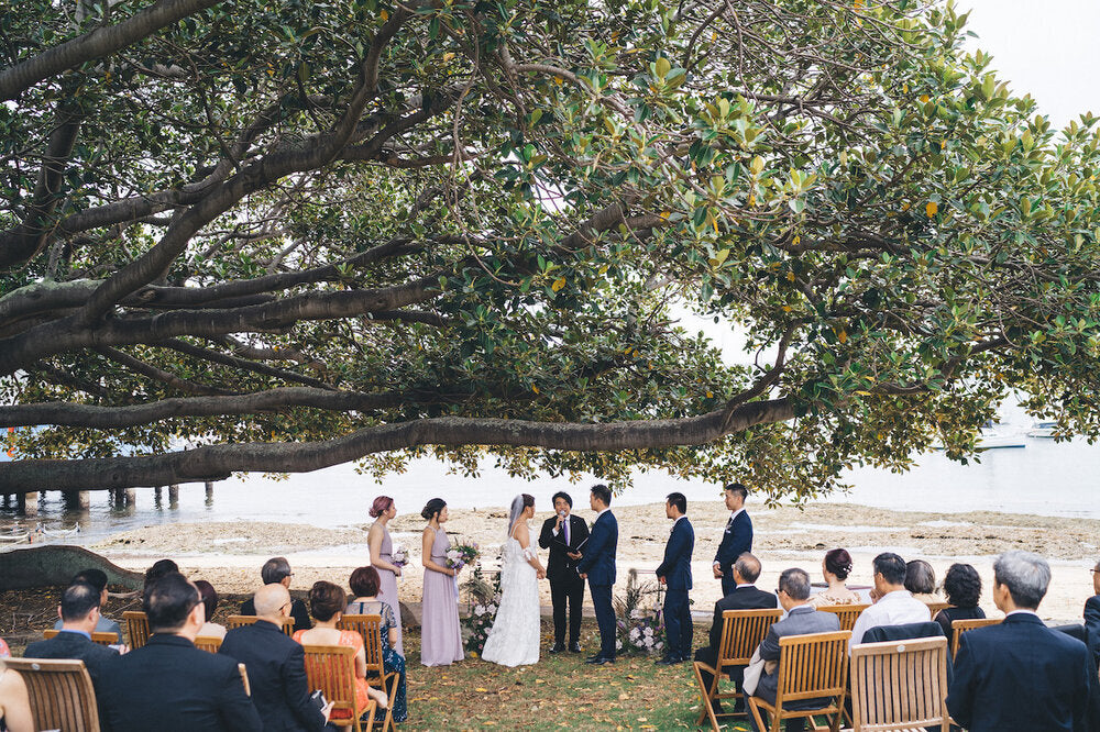 wedding ceremony at robertson park fig tree lawn