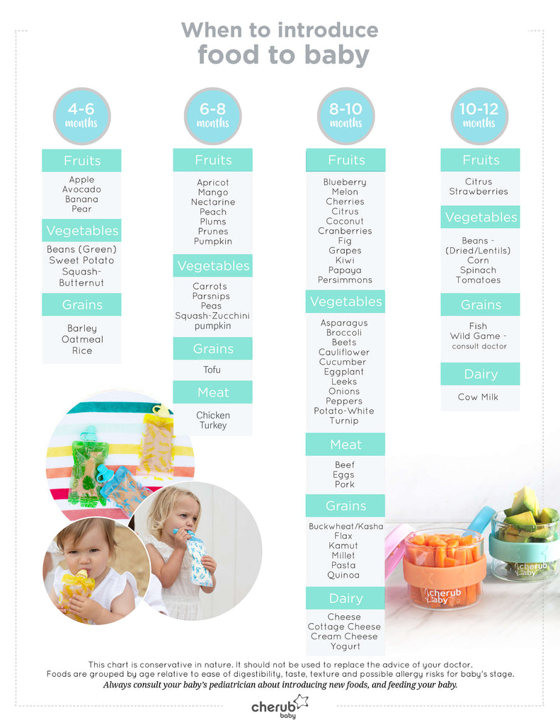 Baby Food Chart – From 4 Months To 12 Months | Cherub Baby