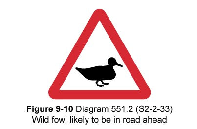 Wild Fowl in Road 551.2
