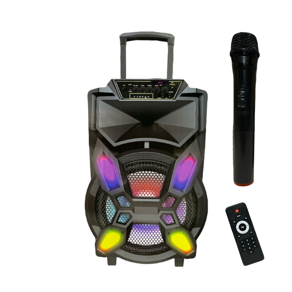 Cassa Portatile Karaoke 12'' Professionale con Microfono Altoparlante -  Blaze Italia