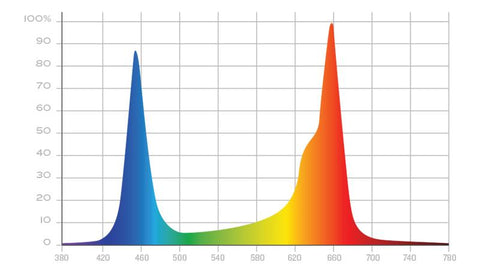 Kind X-serie bloei spectrum