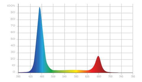 X40 groeispectrum