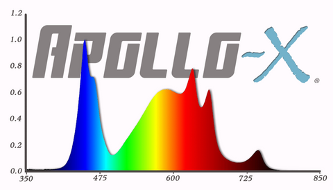 Apollo-X spectrum