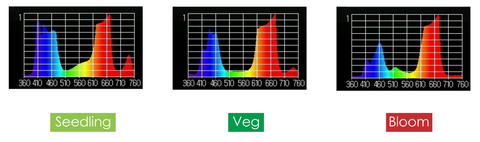 Beehive Spectrum