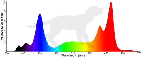 Phytomax spectrum