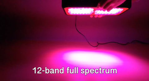 12-band Spectrum