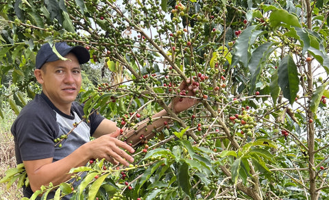 Jordy And Barbi Mom Sonporn - Coffee grower | Jorge Elias Rojas - Forest Coffee