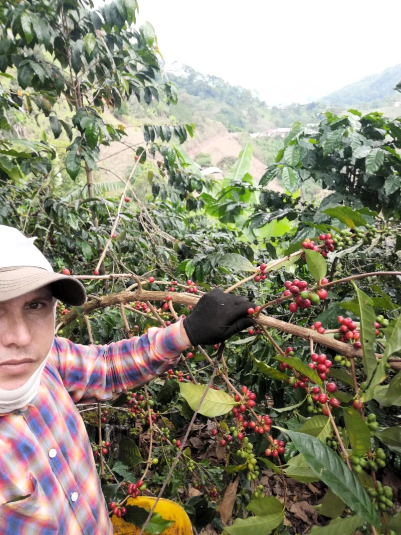 Producer_Duberney_Cifuentes_farm_montreal_I