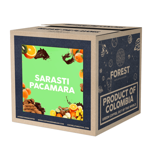 PACAMARA SARASTI - Forest Coffee 