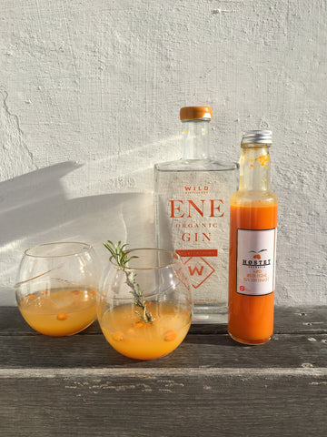 Gin and tonic with sea buckthorn