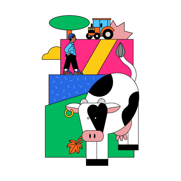 Illustration d'Andreas Chronopoulos représentant Laïs, la vache d'Olivier Pithon