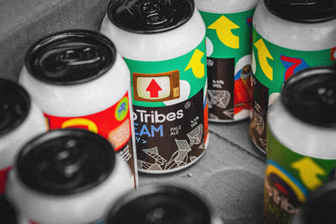 Two Tribes beer cans in a cardboard box