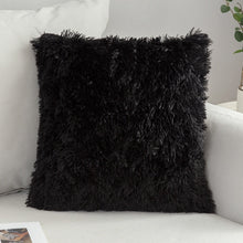 Load image into Gallery viewer, Decorative Sofa Pillow
