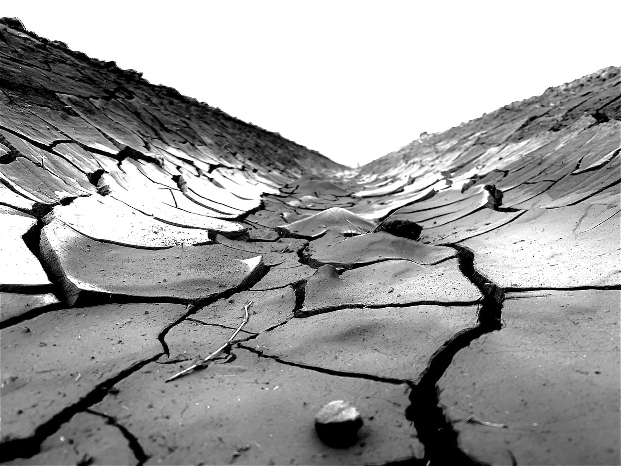 Soil cracks by Mario A. Villeda