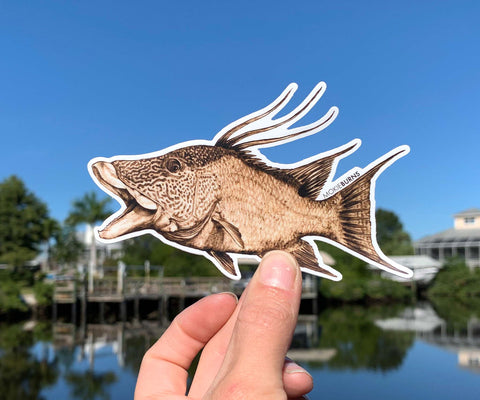 hogfish fish art mokie burns yeti vinyl sticker