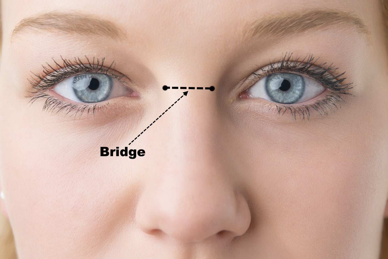 The location of a bridge nose piercing on a models nose between her eyes.