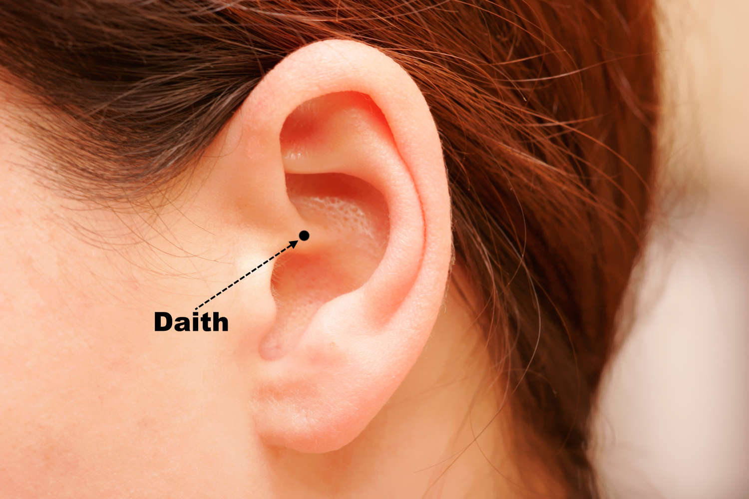 The location of the daith ear piercing shown on a female models ear.