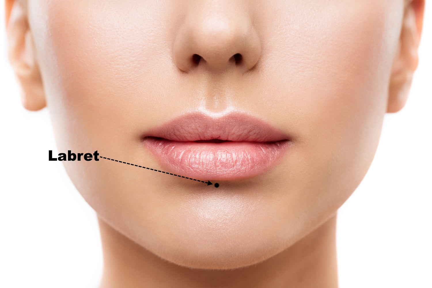 A diagram showing where the labret piercing is located on the face.
