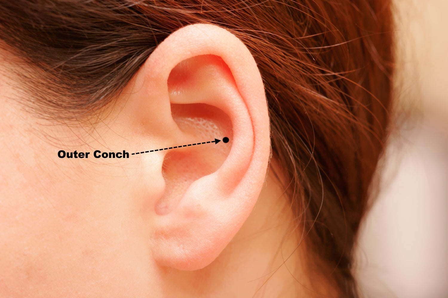 Shows the outer conch piercing location pictured on a closeup of an ear.