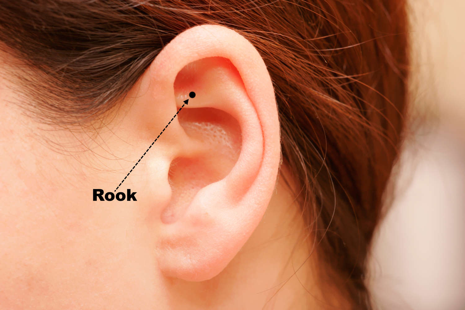 The rook piercing location as marked on a female models ear.