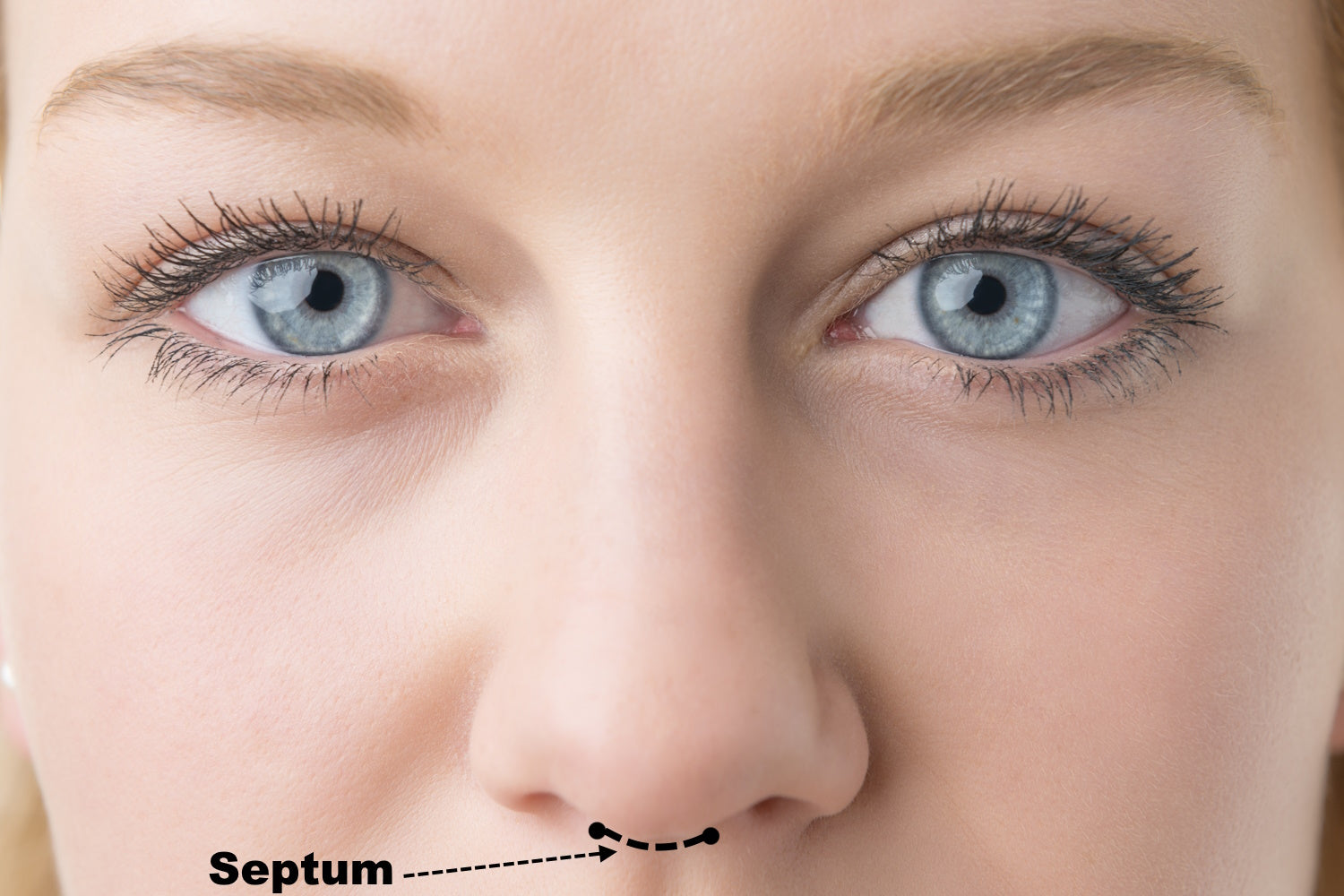 The location of a septum piercing on a models face.