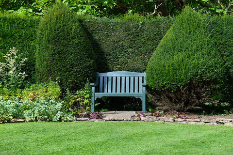 a bench in a garden