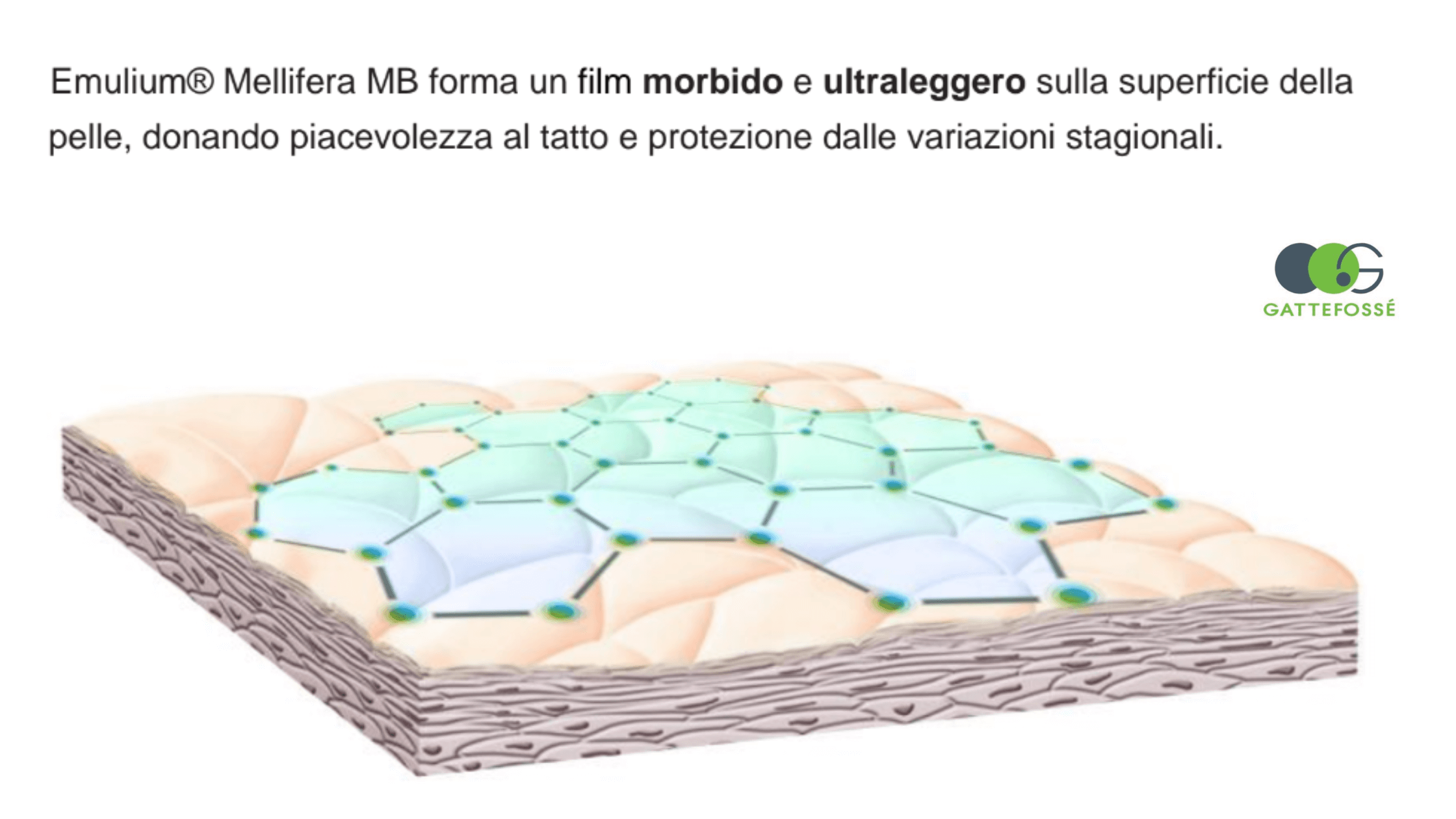 cera d'api nella cosmesi