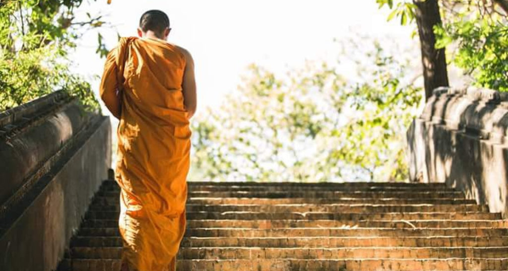 15-maximes-bouddhiste-pour-améliorer-sa-journée-article-de-blog-poursuivre-son-chemin-La-Maison-de-Bouddha