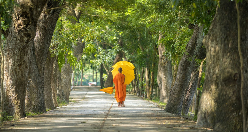 Comment-définir-la-spiritualité-bouddhiste-quête-de-soi-article-de-blog-La-Maison-de-Bouddha