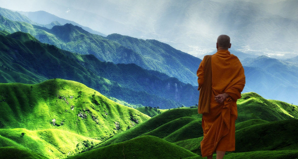 Comment-la-mort-est-elle-perçue-dans-le-bouddhisme-le-monde-après-la-vie-La-Maison-de-Bouddha 