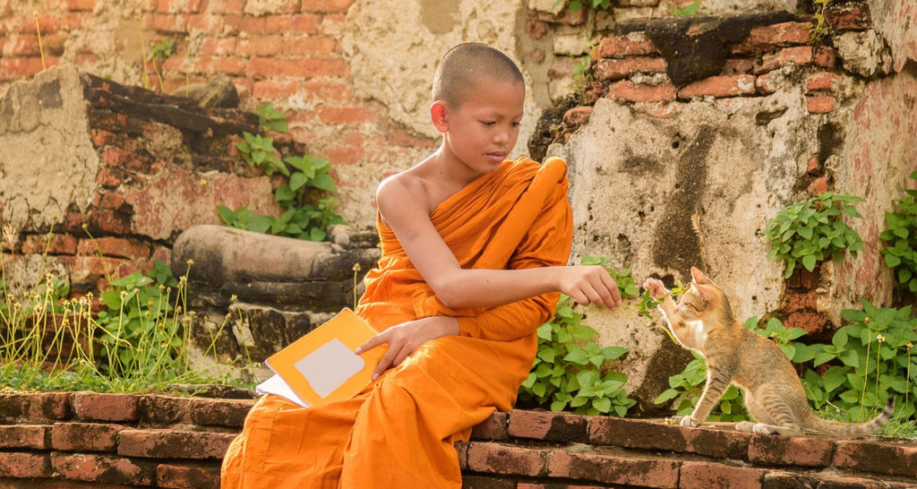 Qu-est-ce-que-le-chemin-du-Bouddha-et-comment-le-suivre-article-blog-bienveillance-La-Maison-de-Bouddha