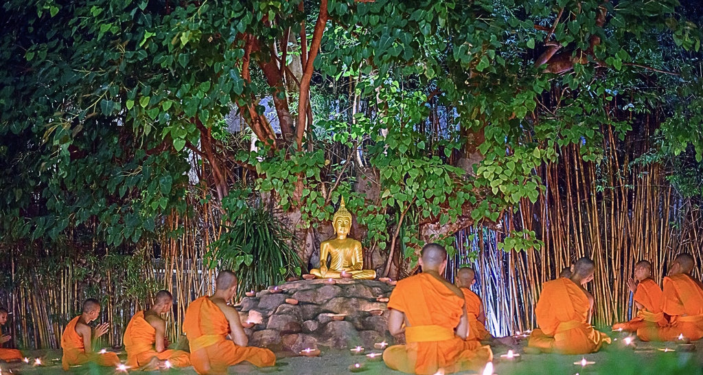 Qu-est-ce-que-le-chemin-du-Bouddha-et-comment-le-suivre-article-blog-enseignement-du-dharma-La-Maison-de-Bouddha