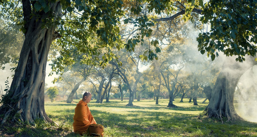 Qu-est-ce-que-le-chemin-du-Bouddha-et-comment-le-suivre-article-blog-méditation-concentration-La-Maison-de-Bouddha