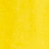 TULIP YELLOW