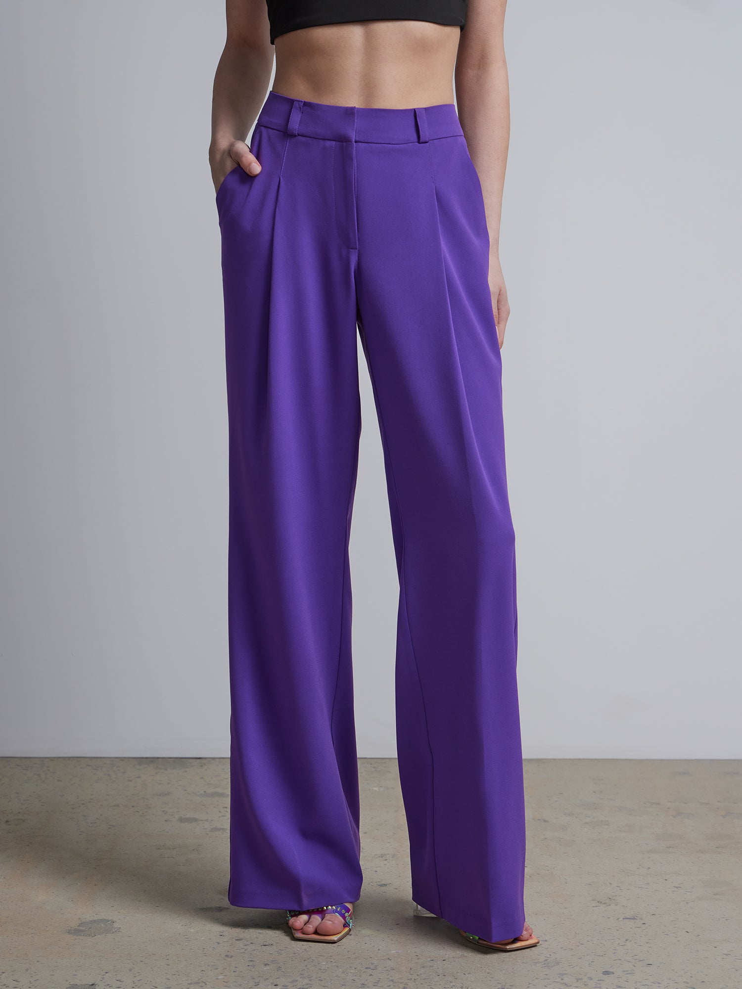 High Waist Pant With Pleats - 270923 