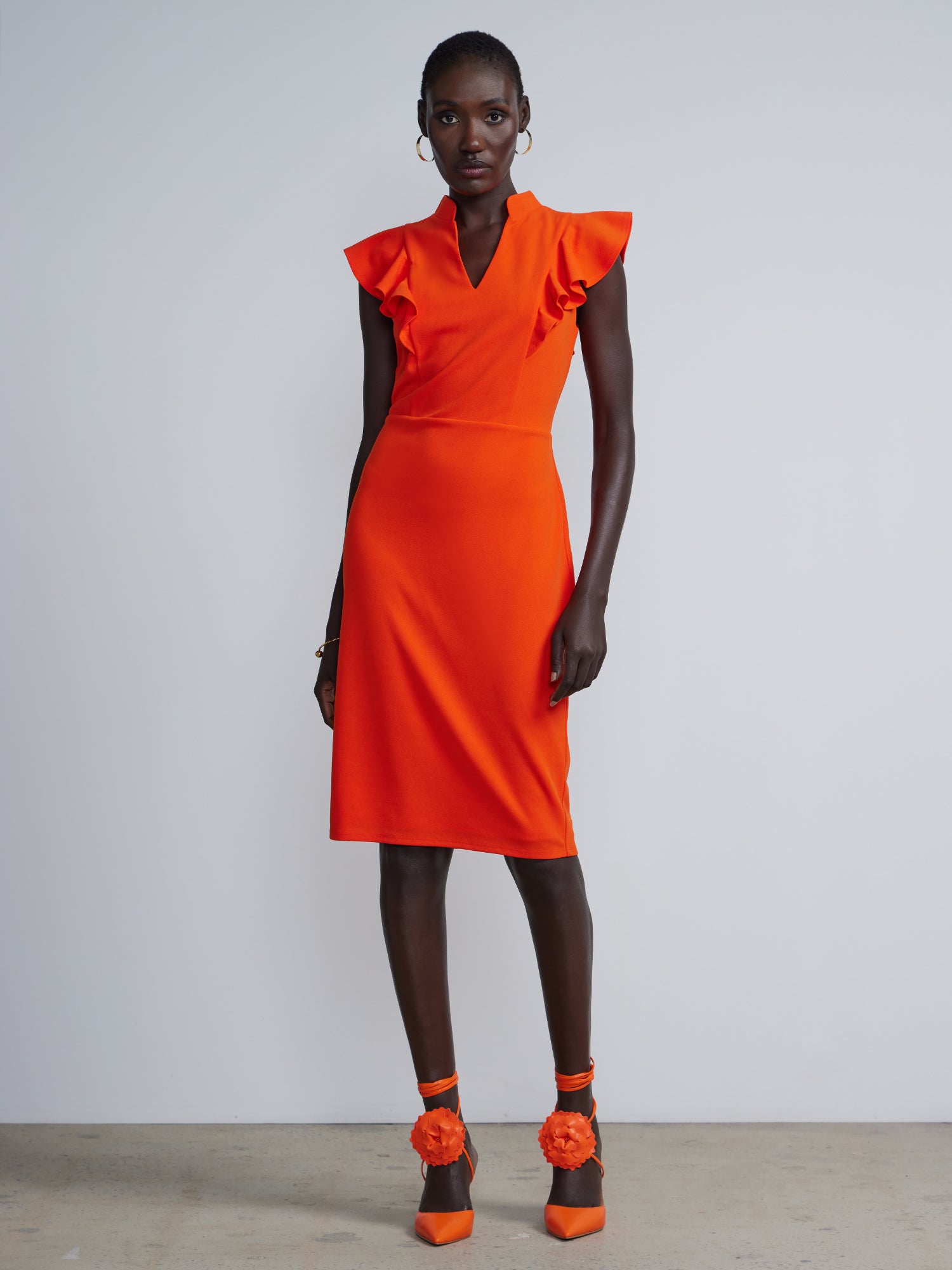 Ruffle Sleeve Sheath Dress | NY&Co
