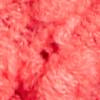 AMAZING CORAL
