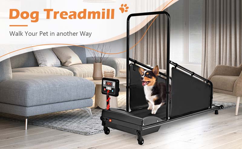 Eletriclife Dog Treadmill for Small/Medium Dogs Indoors Pet Running Training Machine