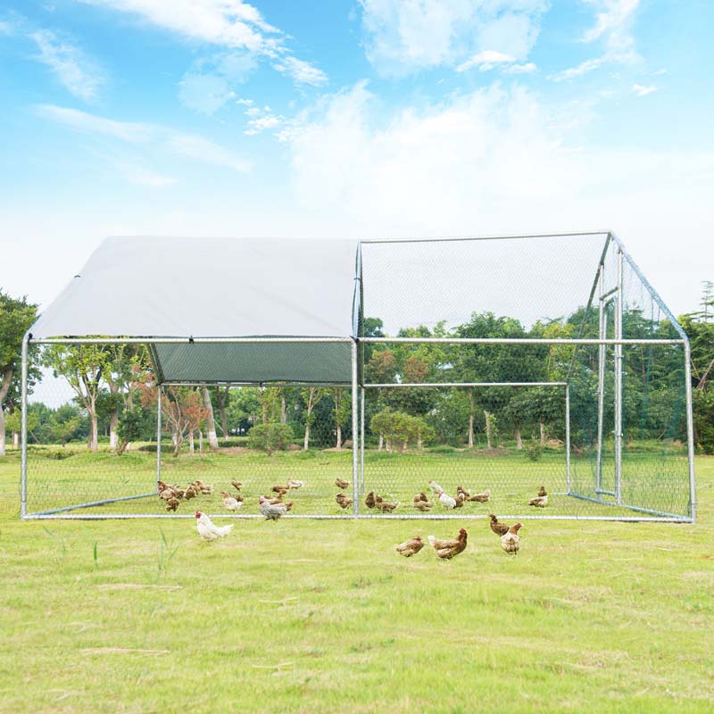 Eletriclife 13 x 13 Feet Walk-in Chicken Coop with Waterproof Cover