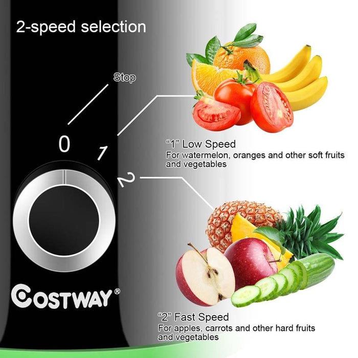 2 Speed Wide Mouth Centrifugal Juicer