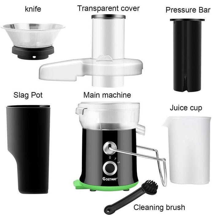 2 Speed Wide Mouth Centrifugal Juicer