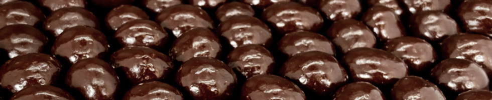 Dilettante Chocolates Dark Chocolate-Covered Espresso Beans