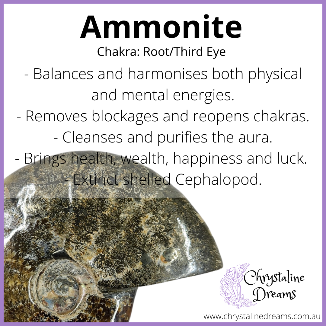 Ammonite Metaphysical Properties and Meanings