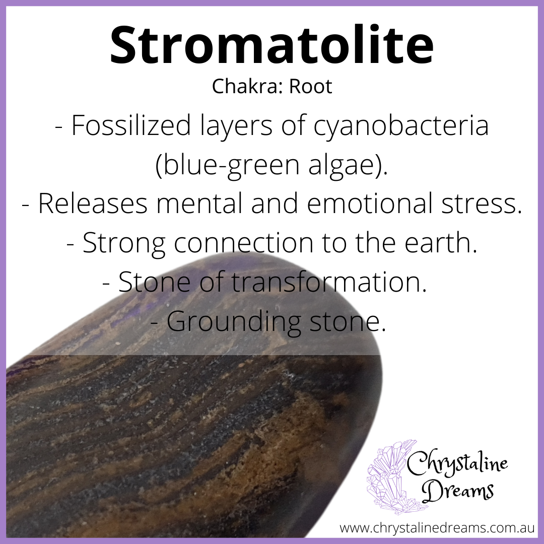 Stromatolite Metaphysical Meaning and Properties