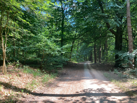 NIEF National Park