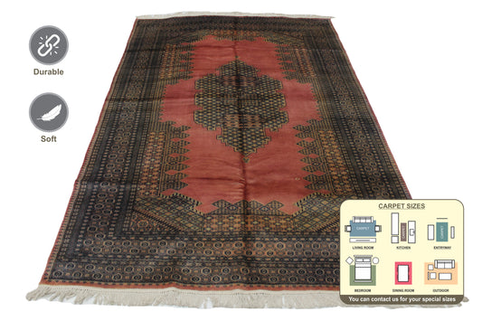 Kashmiri Pakistan Area Rug 280cm x 189cm