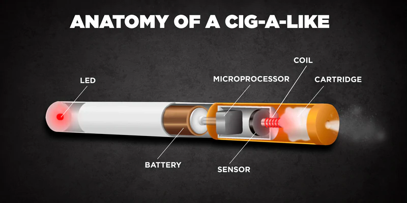anatomy of a disposable vape
