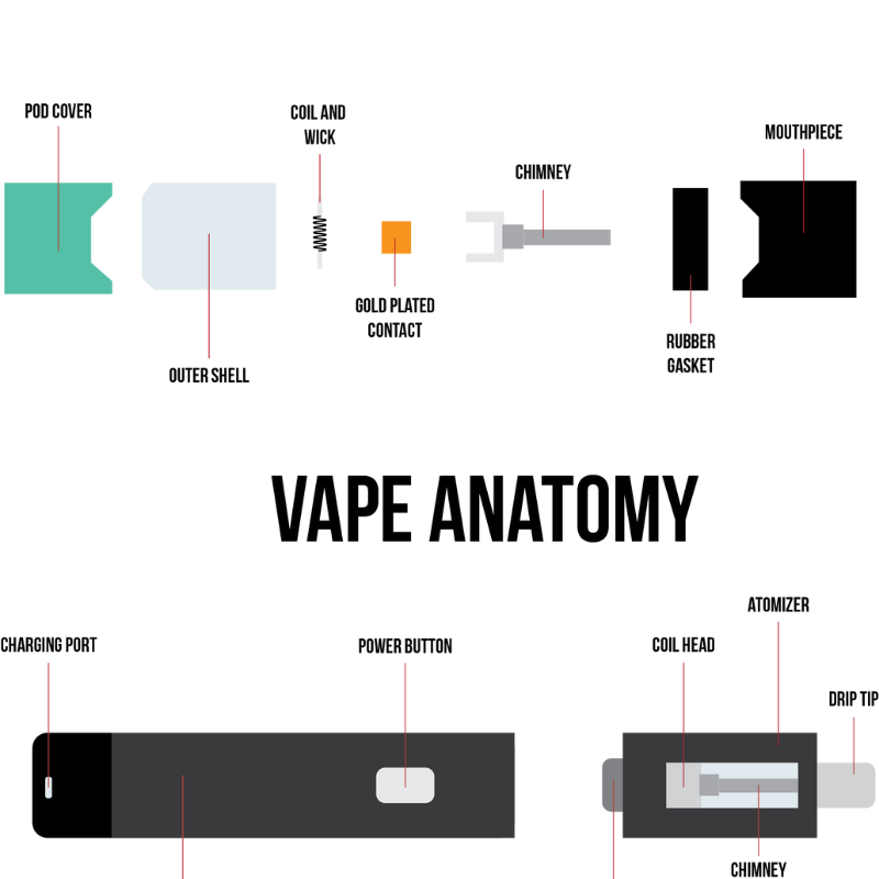 Vape Anatomy